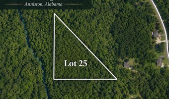 MORRISVILLE ROAD, Anniston, AL 36201