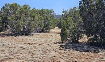 Tbd N8060, Concho, AZ 85924
