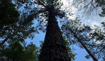 Mountain View Way, Bainbridge, GA 39819