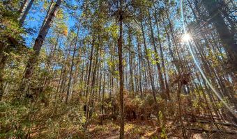 527 Forest Service Rd, Apple Springs, TX 75926