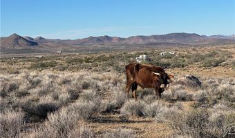 N Lost Mine Drive, Chloride, AZ 86431