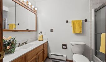 13 Curtis Ct, Broomfield, CO 80020