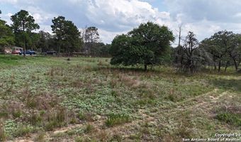 1228 Morning Glory Ln, Adkins, TX 78101