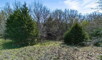 Tbd School Oaks Road, Alvord, TX 76225