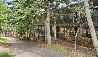 731 S Mill St 2C, Aspen, CO 81611