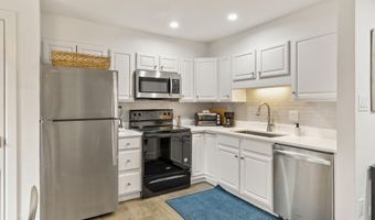 1020 E Durant Ave 203, Aspen, CO 81611
