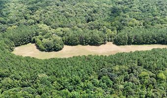 Pleasant Hill Road, Ashland, MS 38603