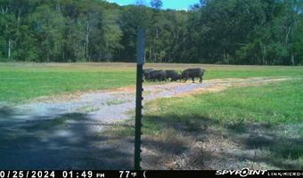 1226 Joe Kidder Rd, Arnaudville, LA 70512