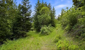 10435 Highway 1, Bonners Ferry, ID 83805