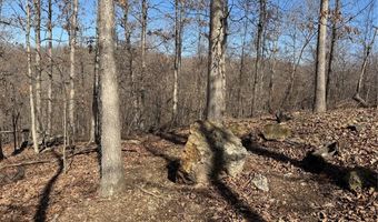 1003 Hidden Valley Lks, Annapolis, MO 63620