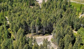 615 Swan Hill Dr, Bigfork, MT 59911