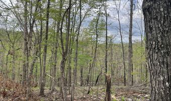 State Hwy N Tract G, Ava, MO 65608