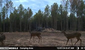 19 43 Big Rocks Rd, Antlers, OK 74523