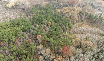 Pearson Road, Belton, SC 29627