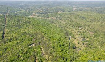 1302 Old Boaz Hwy, Attalla, AL 35954