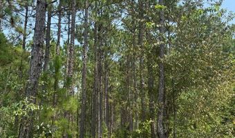 Luke Road lot 02, Ashburn, GA 31714