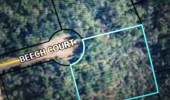 Beech Court, Alford, FL 32420