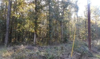 E-S Drive, Braxton, MS 39044