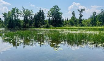 Macey Lane, Alpena, MI 49707
