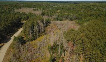 Lot 11 W 16th Court, Arkdale, WI 54613