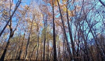 BLACKJACK ROAD lot 0, Argo, AL 35173