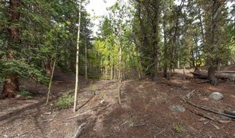 452 QUARTZVILLE Rd, Alma, CO 80420