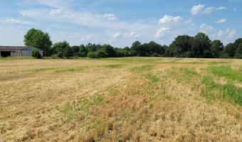 3993 GREENRIDGE Rd, Alma, IL 62807