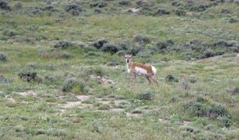 Tbd Richland Trail Clark Wyoming 80, Clark, WY 82435