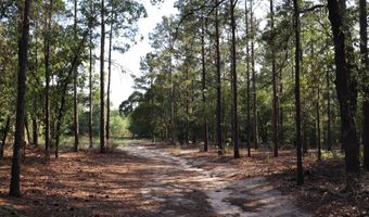 2631 Charlie Johnson Rd, Bethune, SC 29009