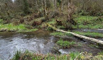 39402 NE 211TH Ave, Amboy, WA 98601