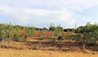 W CLINTON STREET, Archer City, TX 76351