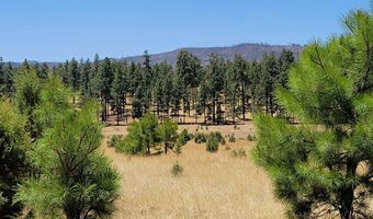 Tbd STONE CREEK RD CR 2117, Alpine, AZ 85920