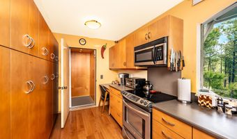 46 Lakeview Park Dr, Angel Fire, NM 87710