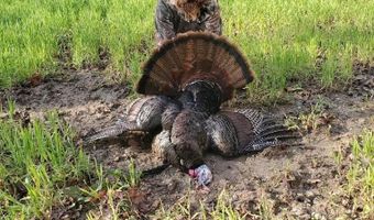 Reeves Road, Ashland, MS 38603