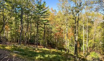 212 Judson Ridge Rd, Arden, NC 28704