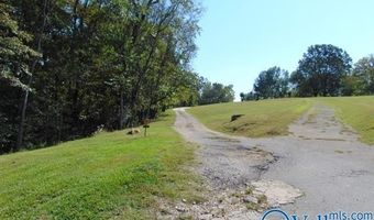 1141 County Road 367, Anderson, AL 35634