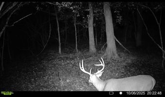 Putnam Road, Belzoni, MS 39038