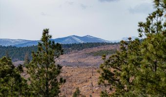 440 La Hermosa Dr, Bellvue, CO 80512