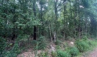 Lot 1 NOLA Lane, Bogalusa, LA 70427