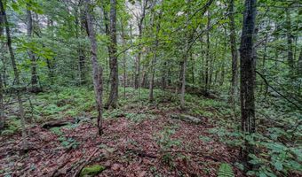 Johnson Rd lot 9, Becket, MA 01223