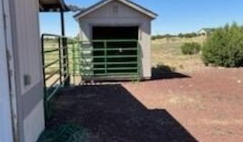 61 CR 8620, Concho, AZ 85924