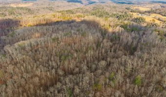 Marshall Drive, Beattyville, KY 41311