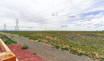 828 Lonewolf Cir, Brighton, CO 80603