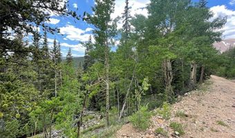 847 COUNTY ROAD 787, Alma, CO 80420