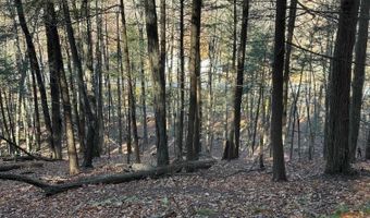 Cooke Road, Brattleboro, VT 05301