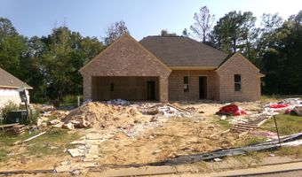 100 Jasmine Cove Dr, Brandon, MS 39042