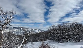 3600 Bear Paw Ln, Glenwood Springs, CO 81601