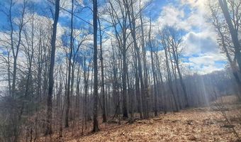 Glade Run Road, Albright, WV 26519
