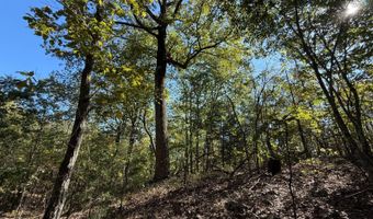 0 Slasham Rd, Ashville, AL 35953