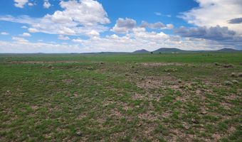 67 66 59 ACR N3377, Concho, AZ 85924